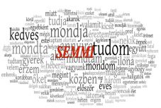 Ambrus Attila: Kockás ing és úszósapka