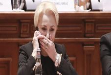 Ambrus Attila: Ki a zsákutcából