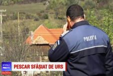 Egy anyamedve megölte a nyárádmagyarósi jegyzőt