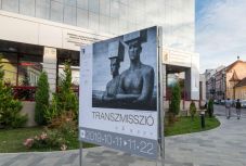 Transzmisszió: határon átívelő párbeszéd magyar képzőművészek között