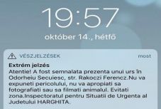 Medve kószált Udvarhelyen hétfő este