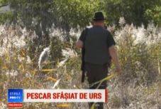 Részletek derültek ki a Maros megyei halálos medvetámadásról