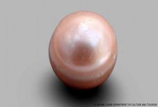 Mutatjuk a világ legöregebb igazgyöngyét