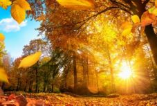 Indián nyár: ezen a héten még biztosan kitart a meleg idő