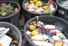 El sem hiszi, hány tonna élelmiszert dobunk ki Romániában