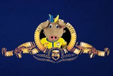 Nemet mondtak a DAC-drukkerek Mangalacira