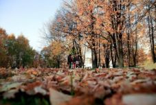 Kéthetes előrejelzés: érezni fogjuk, hogy ősz van