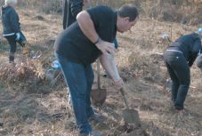 Hatszáz facsemetét ültetett a Nagykároly környéki sarokülőket gyártó cég
