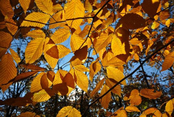 Szögre akaszthatjuk még egy időre a télikabátot