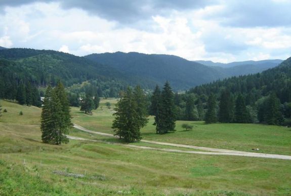 Jelentős beruházással újítják fel az úzvölgyi utat
