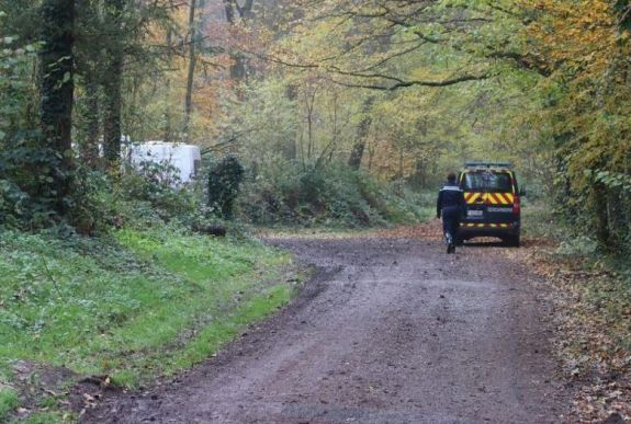 Várandós nőt öltek meg kutyák egy francia erdőben