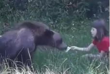 Világítani indult, medvével találkozott egy 16 éves lány