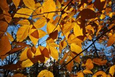 Szögre akaszthatjuk még egy időre a télikabátot