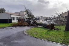 Amelie fákat csavart ki és utakat tett járhatatlanná Franciaországban