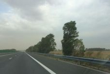 FRISSÍTVE - Erős szélre figyelmeztetnek a meteorológusok