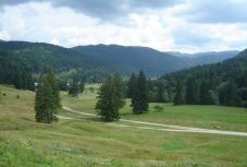 Jelentős beruházással újítják fel az úzvölgyi utat