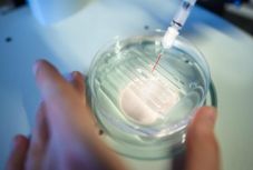 Először alkalmazták a genomszerkesztési módszert daganatos betegségek ellen