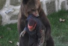 Megölt a medve egy juhpásztort Maros megyében