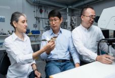 Apró robotmadarat fejlesztettek ki svájci kutatók