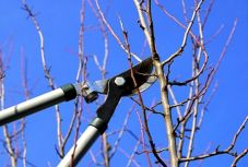 Novemberi tennivalók a kertben: nem látványos, de hasznos