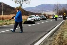 Szenvedni hagyott medve ügye: meghívták a minisztert Csíkszeredába