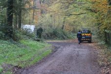 Várandós nőt öltek meg kutyák egy francia erdőben