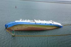 Csak hatvan birkát sikerült élve kimenteni a Queen Hind hajóról