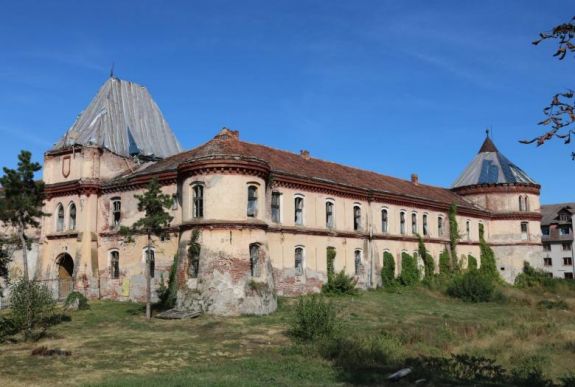 Budapesten is bemutatják a borosjenői kőfaragvány-leleteket