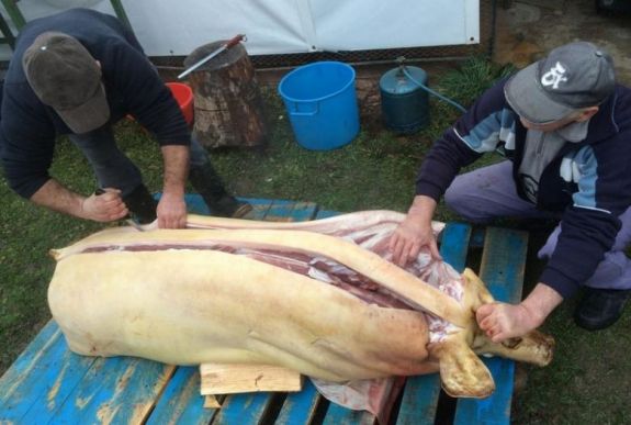 Nem a háztáji disznótartás jelenti a gondot, hanem a kupecek