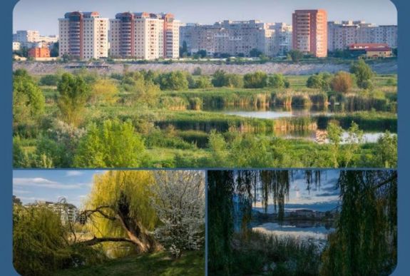 Az RMDSZ is támogatja, hogy a városi zöldövezetek legyenek természetvédelmi területek