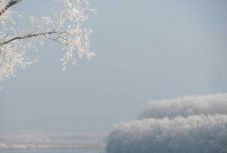 Sűrű köd van számos erdélyi megyében