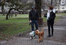 „A segítségnyújtás feltölt és kikapcsol”– kutyát sétáltattunk Miklós Imre csíkszeredai időadományozóval