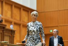 Turcan: január 6-án életbe léphet a költségvetési törvény