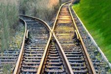 Szász István Szilárd: Elágazás