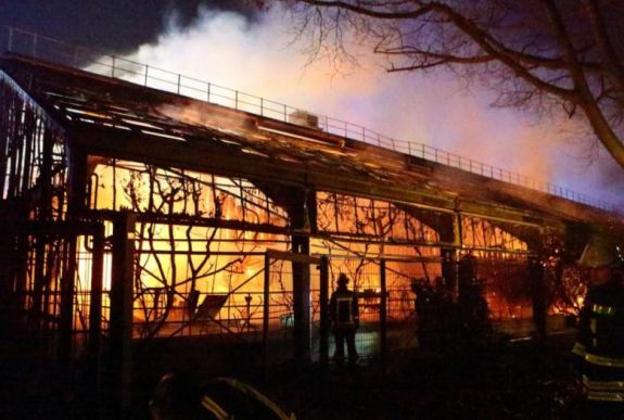 Leégett egy állatkerti majomház a németországi Krefeldben