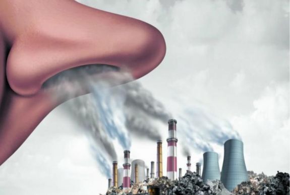 Hogyan befolyásolja a légszennyezés és a klímaváltozás a légzőszervi allergiás megbetegedéseket?