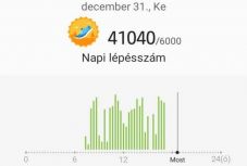 Erdélyből Tibetbe, Kőrösi Csoma Sándor nyomában: 123. nap – január 1.