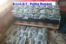 Hatalmas mennyiségű kábítószert foglaltak le tavaly a hatóságok