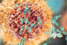 A magyar kutatók újabb rákellenes, természetes védelmi rendszert ismertek fel