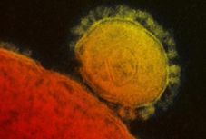 Megugrott a halálos áldozatok száma – egyre hevesebb a koronavírus-járvány