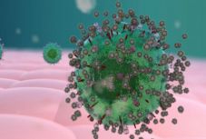 A cukormolekula lehet a vírusok elleni univerzális fegyver