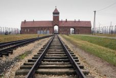 Bogdán Tibor: Diszkréten félrenézni