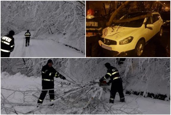 Fákat, telefonpóznákat döntött ki a szél Bihar megyében