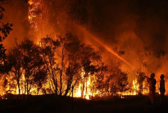 Az erdők ötödét elpusztították a bozóttüzek Ausztráliában