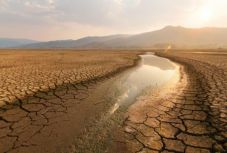 A következő öt év lehet az eddigi legmelegebb időszak a Földön