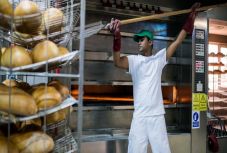 Bogdán Tibor: Ditró First