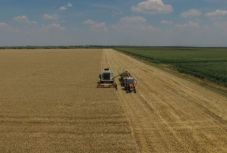 Jövő februártól májusig tart a mezőgazdasági összeírás