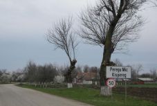 Visszalépés az anyanyelvhasználati jogok terén: alkotmányos az új közigazgatási kódex