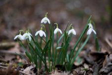 Ilyen lesz az időjárás a következő két hétben