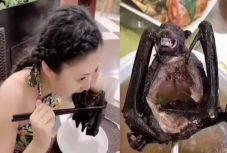 A koronavírus veszélye se riasztja el a kínaiakat az egzotikus állatok fogyasztásától?